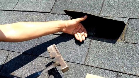 How to Properly Clean and Maintain a Roof Treated with Shingle Magic Fee